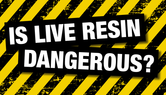 Is Live Resin Dangerous 