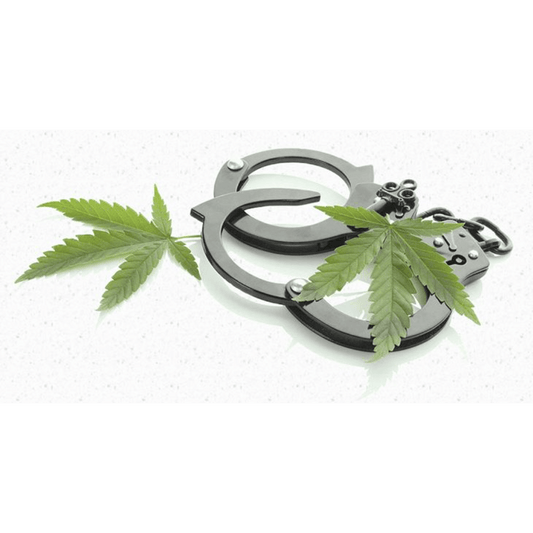 States Begin Implementing Delta-8 THC Bans