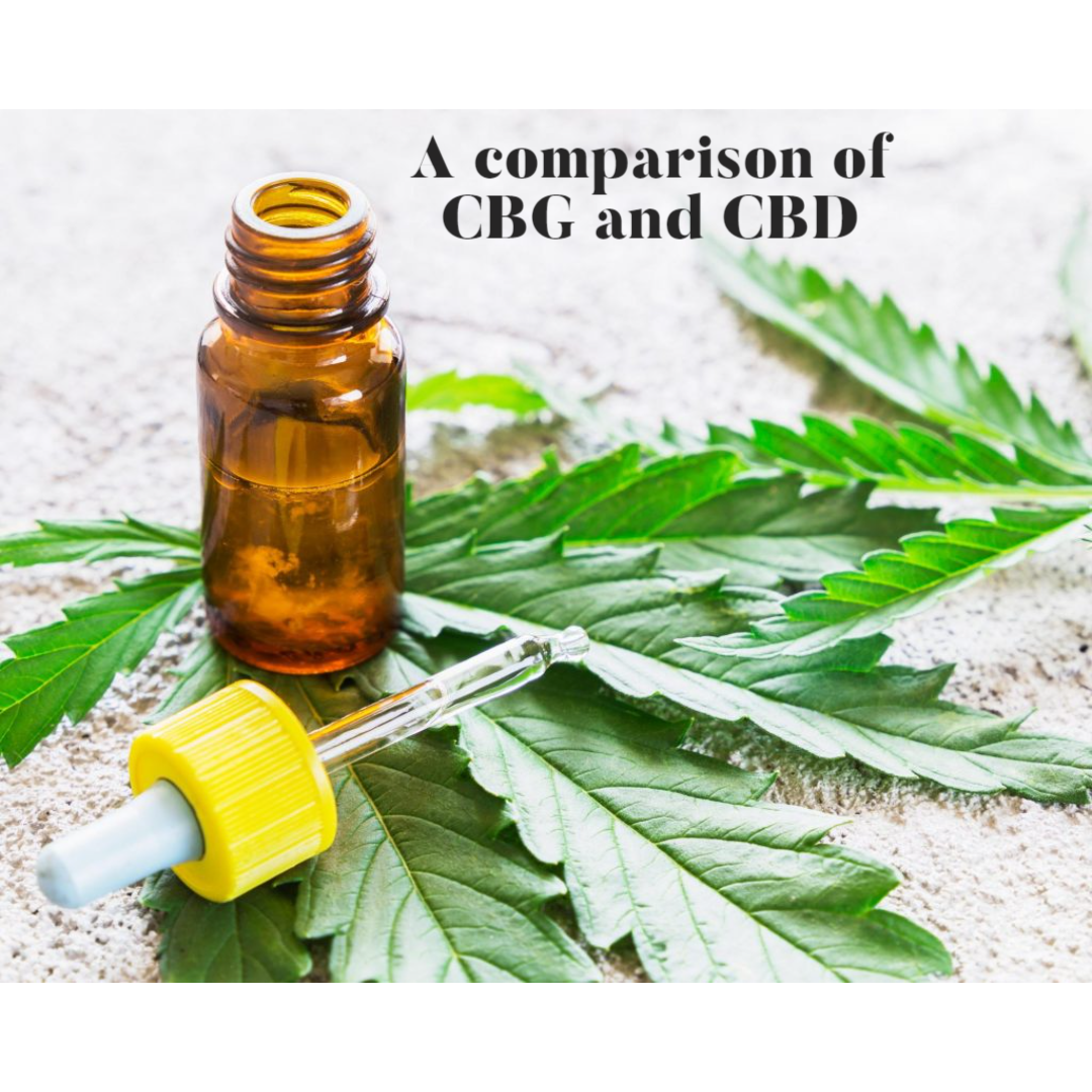 CBG vs CBD
