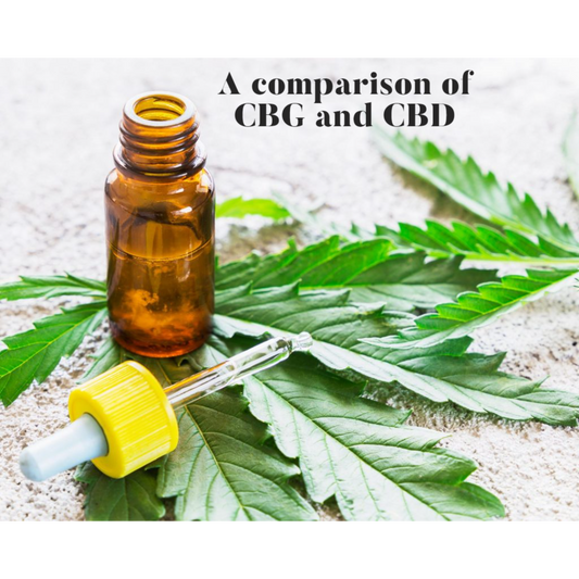 CBG vs CBD