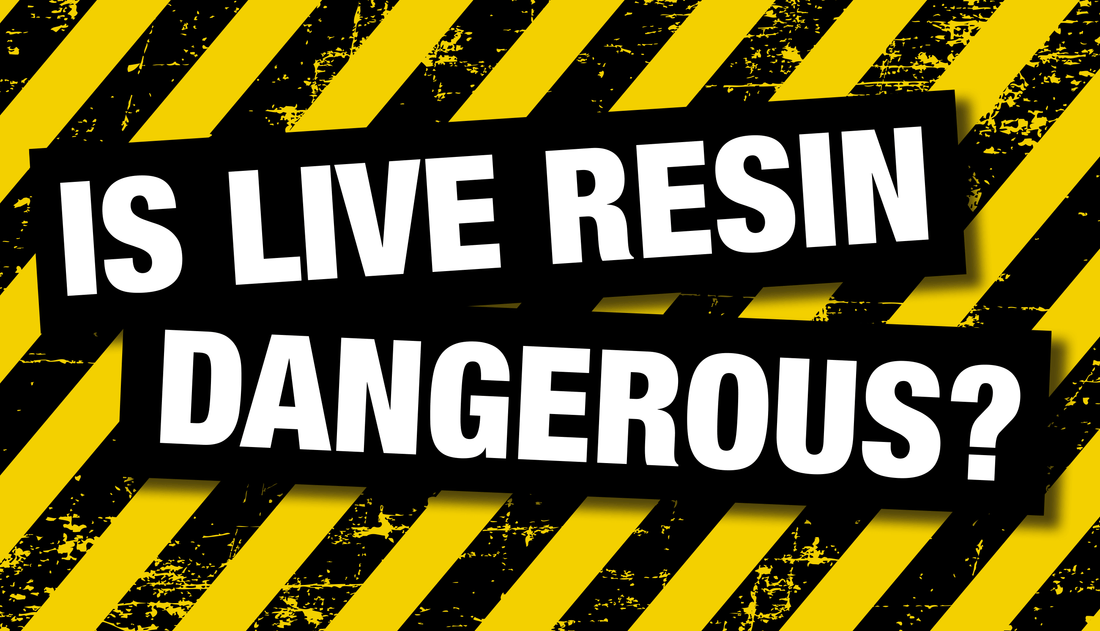 Is Live Resin Dangerous 