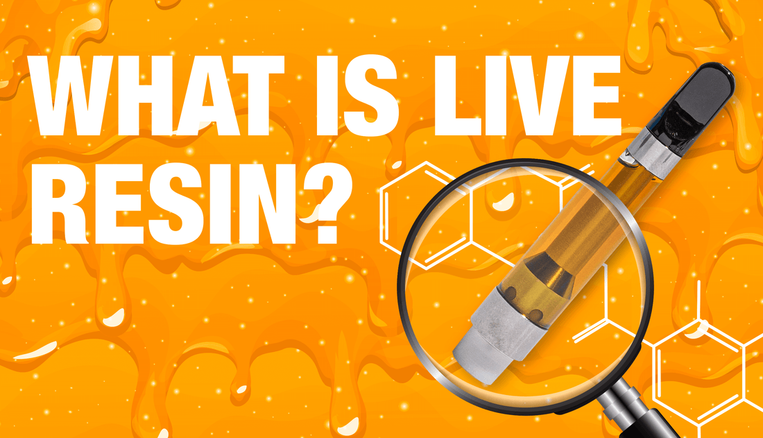 An image for an article titled, "What Is Live Resin?"