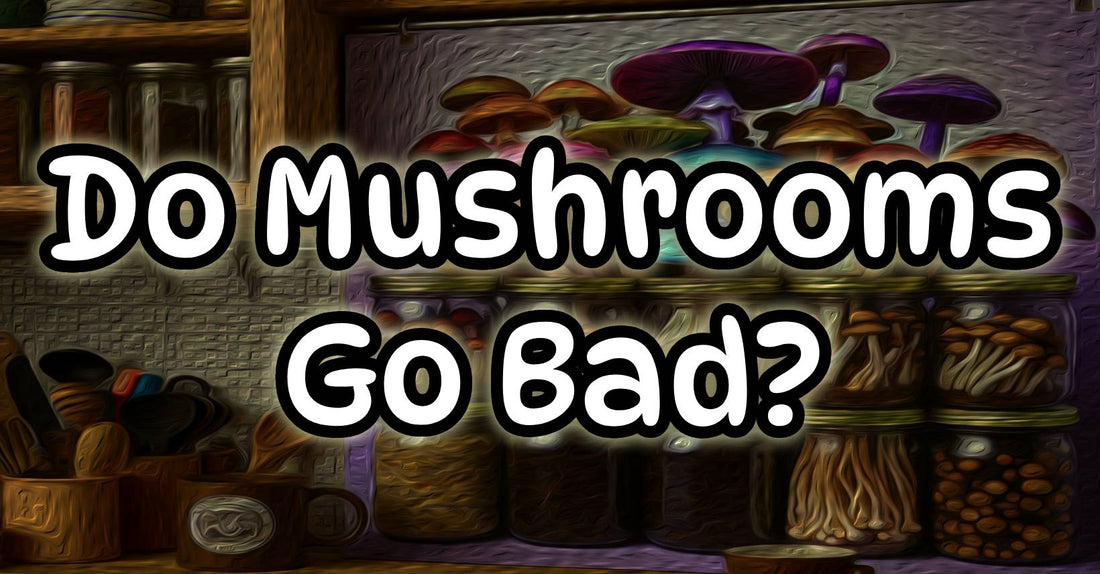 Do Mushrooms Go Bad?