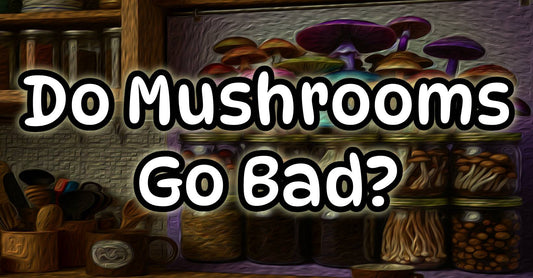 Do Mushrooms Go Bad?