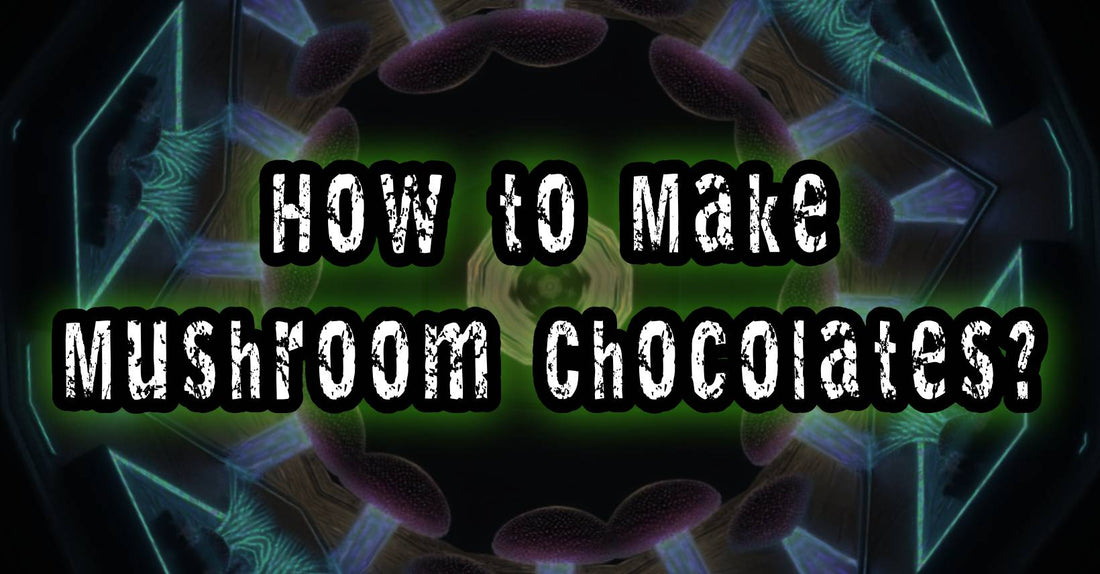 how to make mushroom chocolates