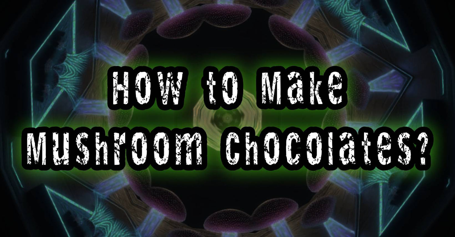 How To Make Shroom Chocolate Bars DIY Shroom Chocolates: A Personal Psychedelic Experience – hemphealth