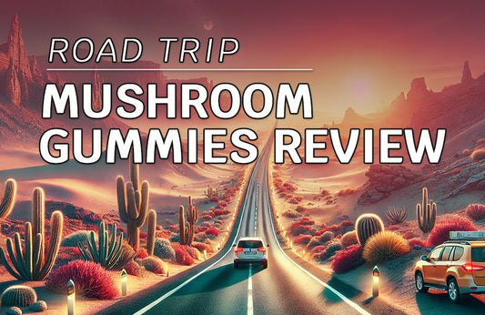 Road trip mushroom gummies review