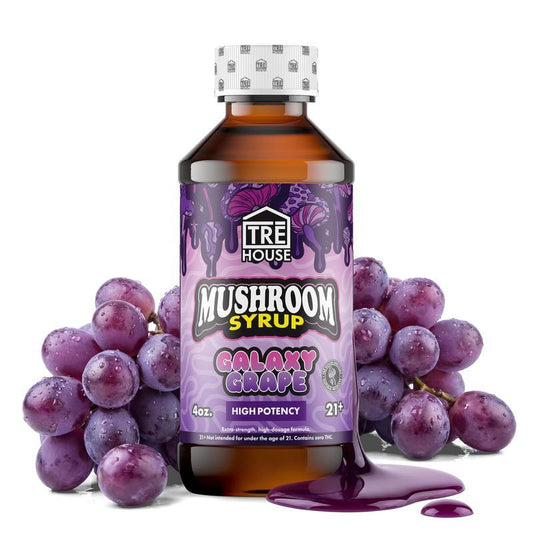 TRĒ House Mushroom Syrup — Nootropic Mushroom Blend